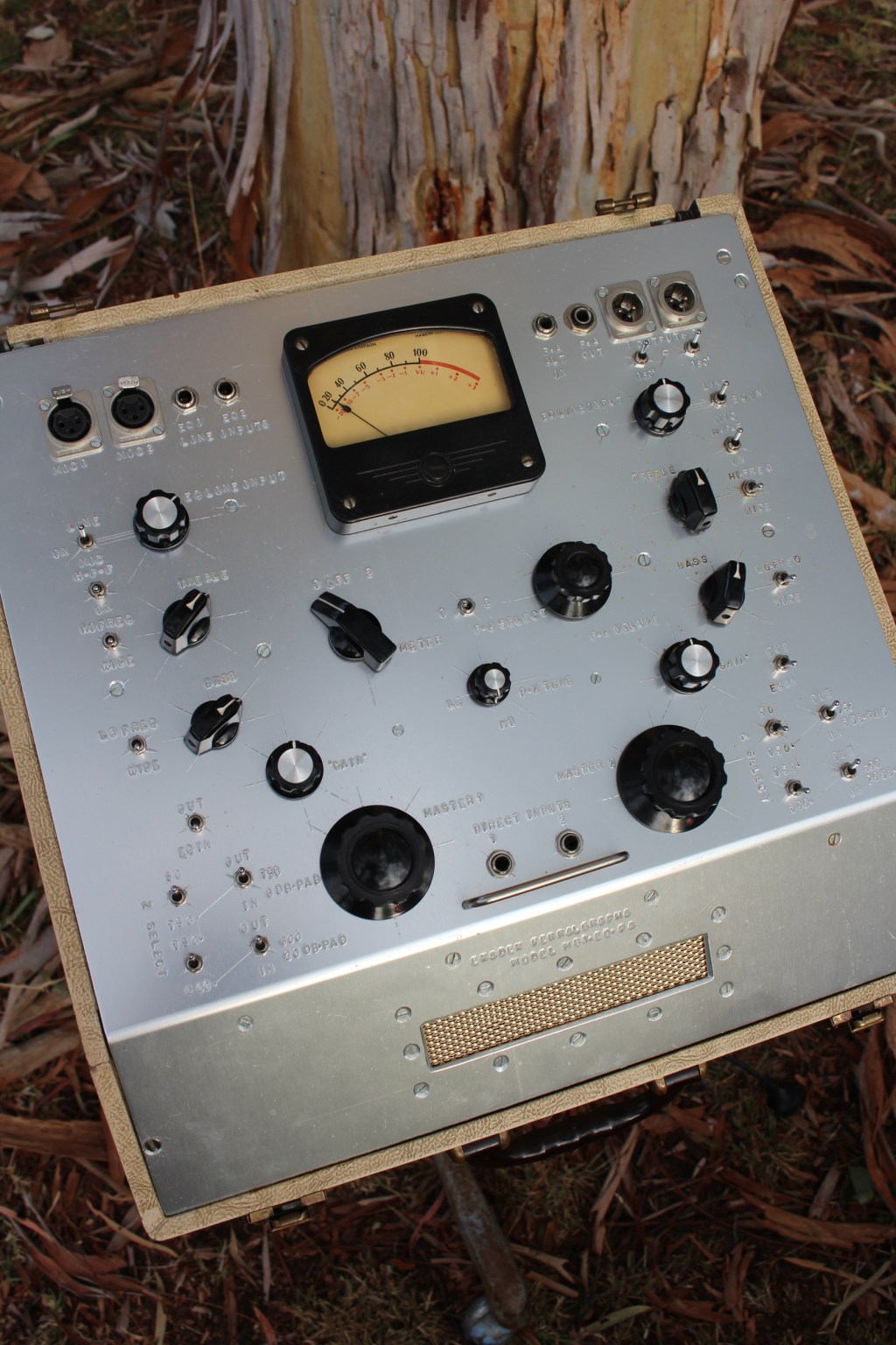 ferralgrapha with gum&nbsp;tree